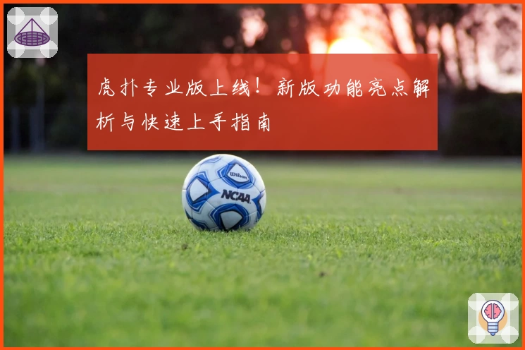 虎扑专业版上线！新版功能亮点解析与快速上手指南